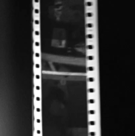 wenqiang-vision